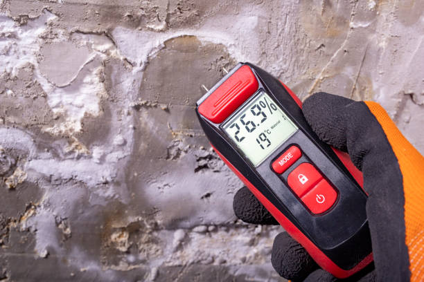 Best Localized Mold Remediation (e.g., coastal areas, humid climates) in Skidaway Island, GA