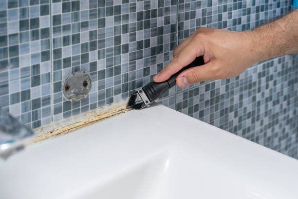 Reliable Skidaway Island, GA Mold Remediation Solutions